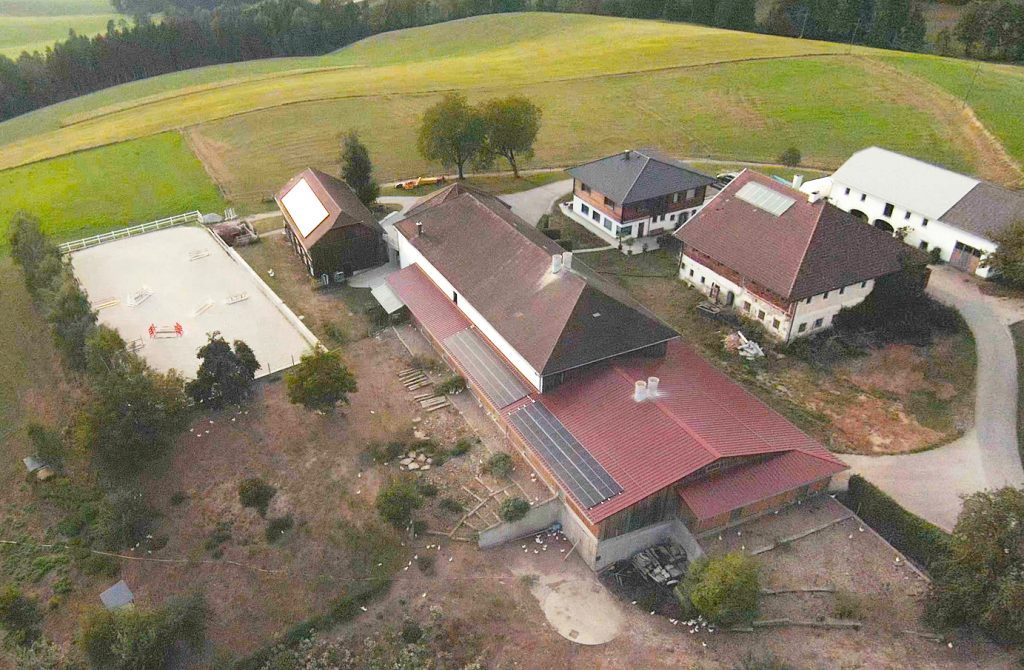 Bild aus dem Jahr 2024